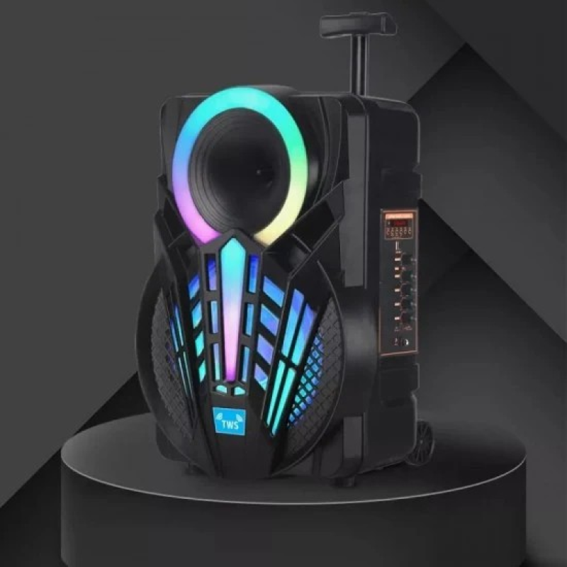 Караоке светеща тонколона NDR-P08 - 8 инча