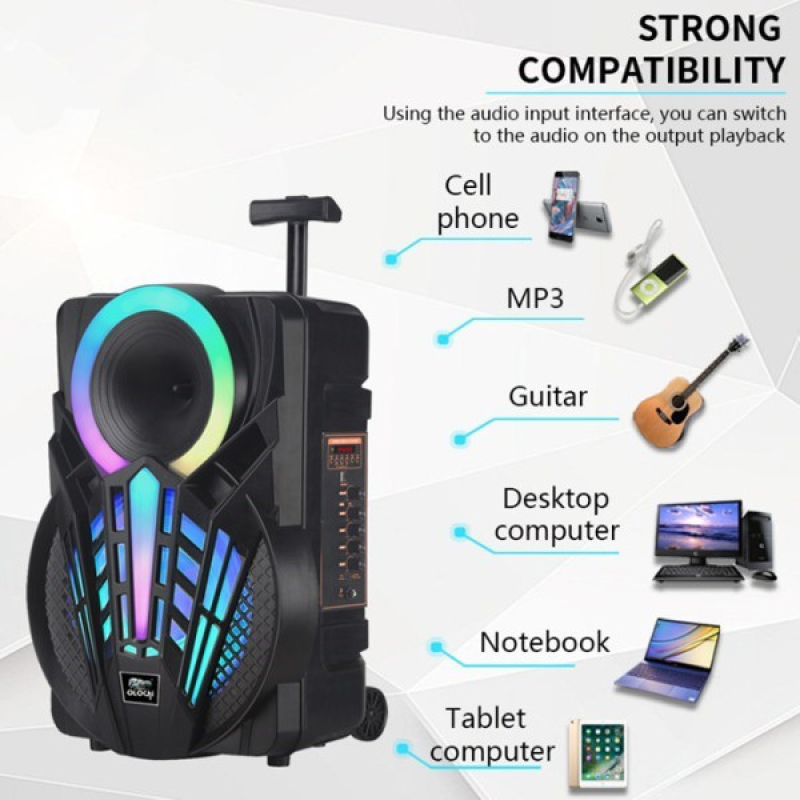 Караоке светеща тонколона NDR-P08 - 8 инча